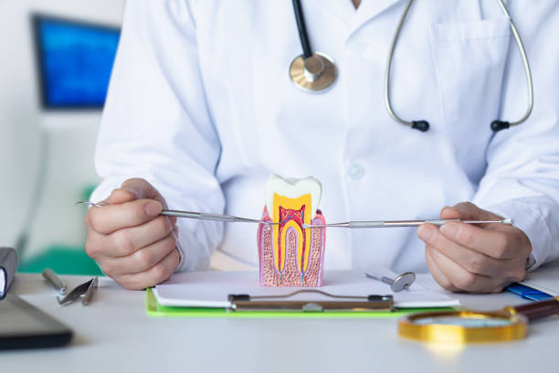 Best Emergency Tooth Extraction in Kountze, TX